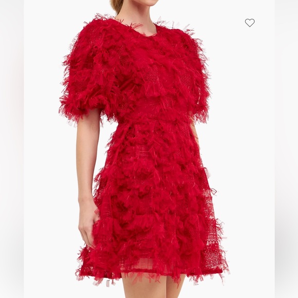 Endless Rose Dresses & Skirts - Feathered mini dress